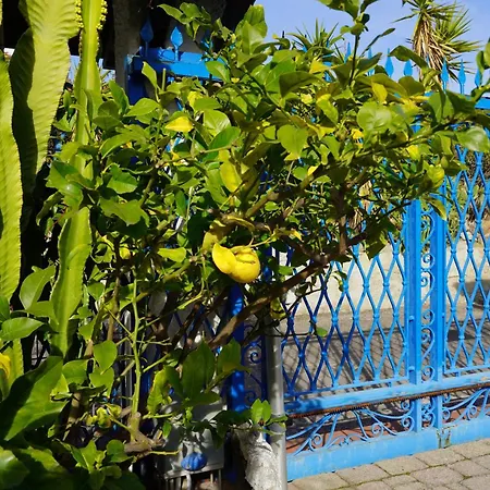 Rita Sea Front View - Parcheggio Gratuito In بيت ضيافة
