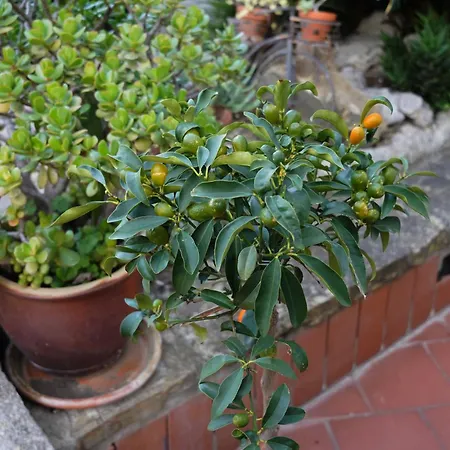 Rita Sea Front View - Parcheggio Gratuito In 4* San Remo