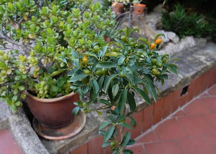 Rita Sea Front View - Parcheggio Gratuito In 4* San Remo